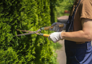 Paysagiste professionnel Aix en Provence