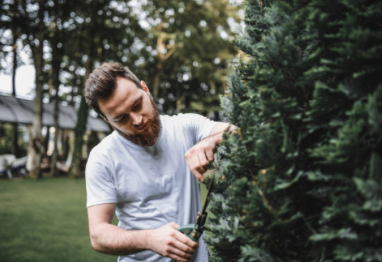 jardinier paysagiste professionnel Aix en Provence