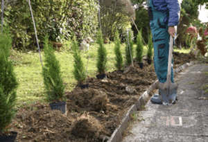 jardinier professionnel Courbevoie