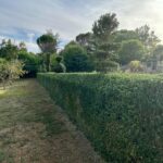 interservices carcassonne professionnel entretien maison efficace