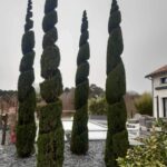 interservices carcassonne professionnel entretien maison