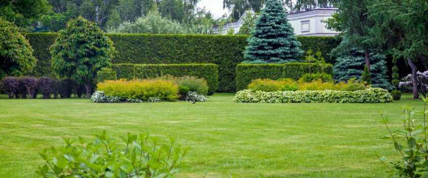 Paysagiste entretien extérieur chantiers