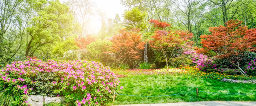 : Entretien maison urgent paysagiste pas cher