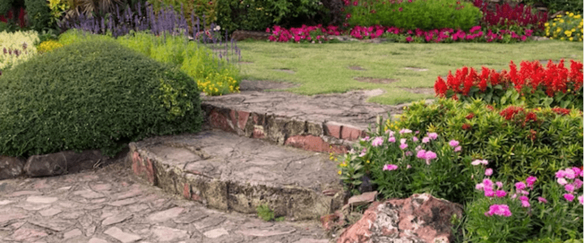 paysagiste jardinier minutieux à petit prix rapide près de chez moi