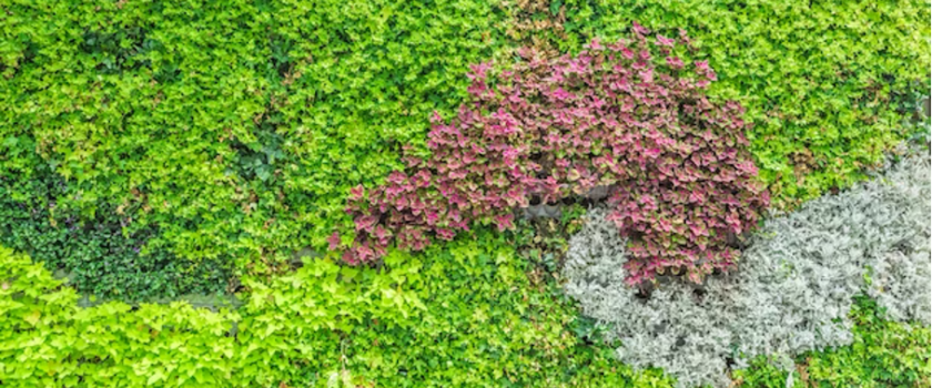 Recherche jardinier professionnel et paysagiste rapide