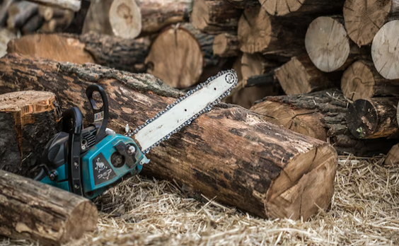 Trouver élagueur rapidement pas cher