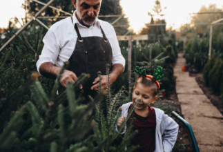 taille de haie professionnel besançon