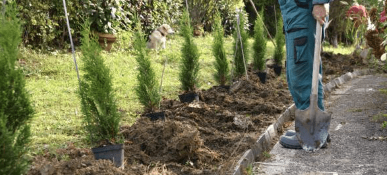 jardinier professionnel Courbevoie