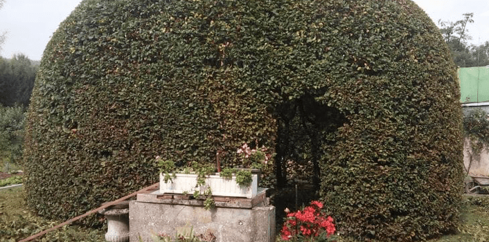 paysagiste artisan Vosges pas cher