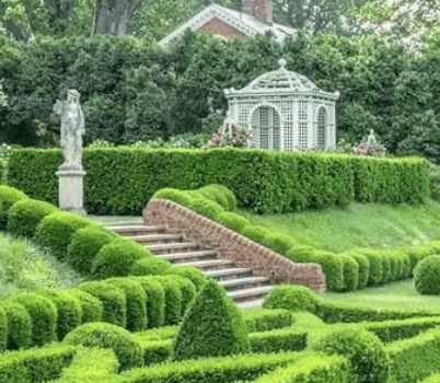 élagueur paysagiste Yonne efficace