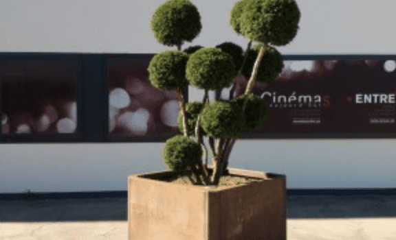 paysagiste élagueur professionnel offemont disponible